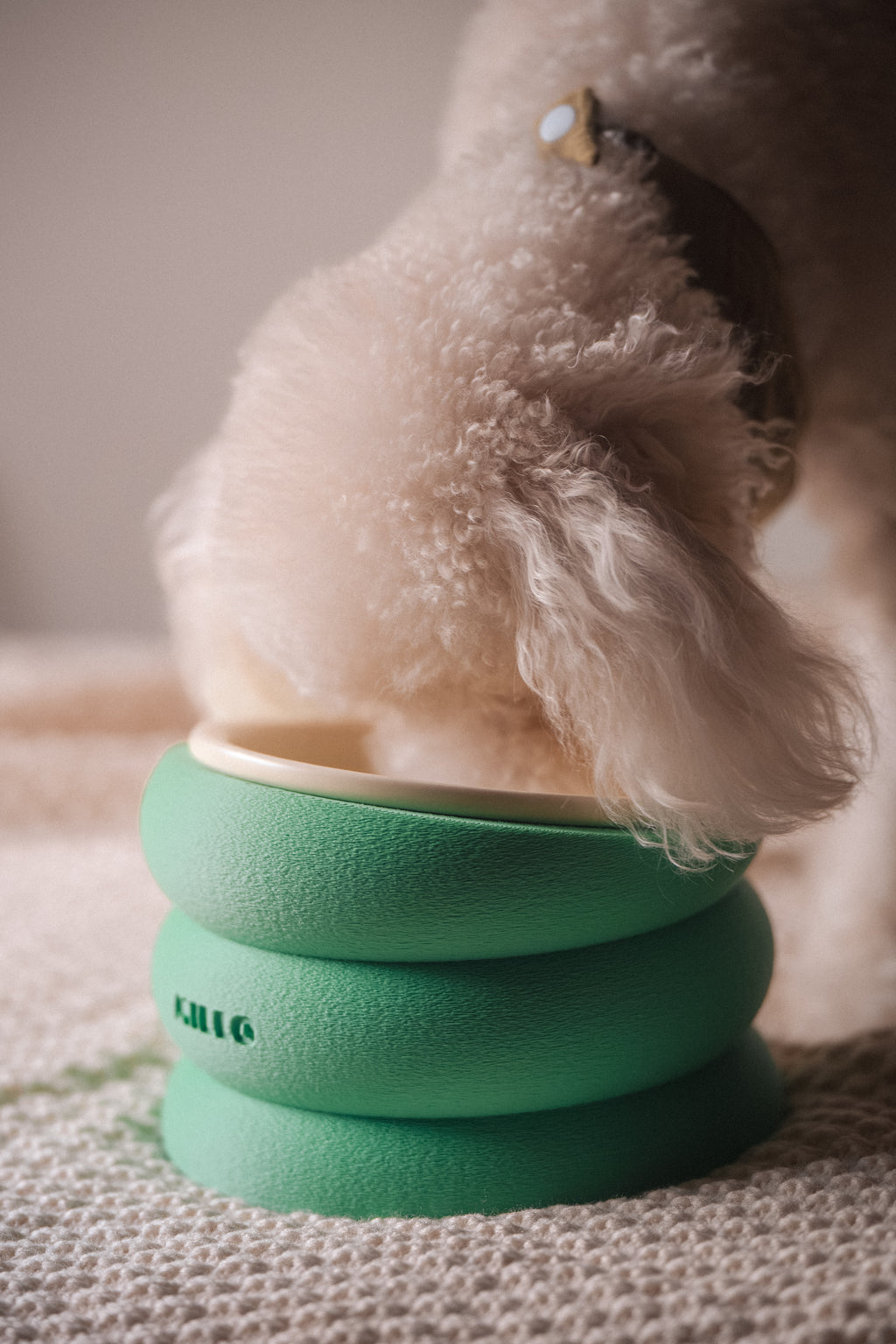 BUBOWL| Elevated & Angled Pet Bowl