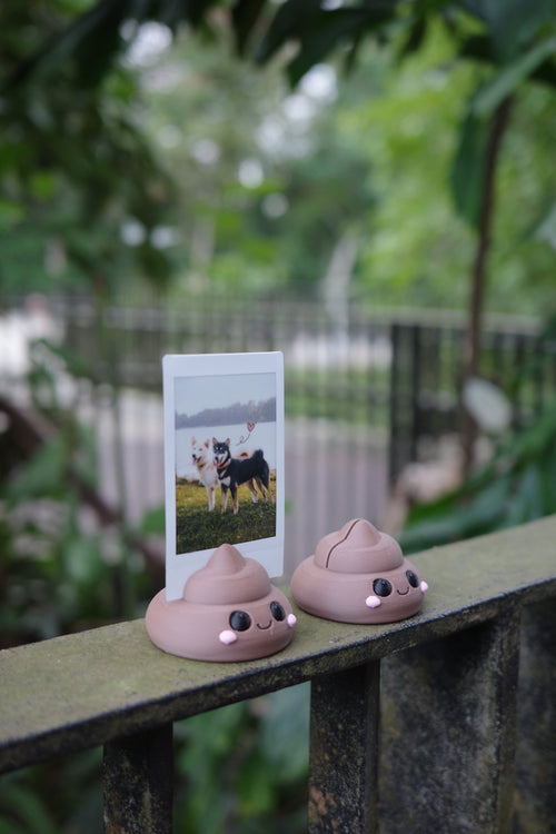 Polaroid Holder (Poop)