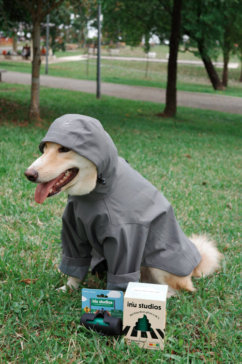 Inu Studios x ALTOFF: Bundle A