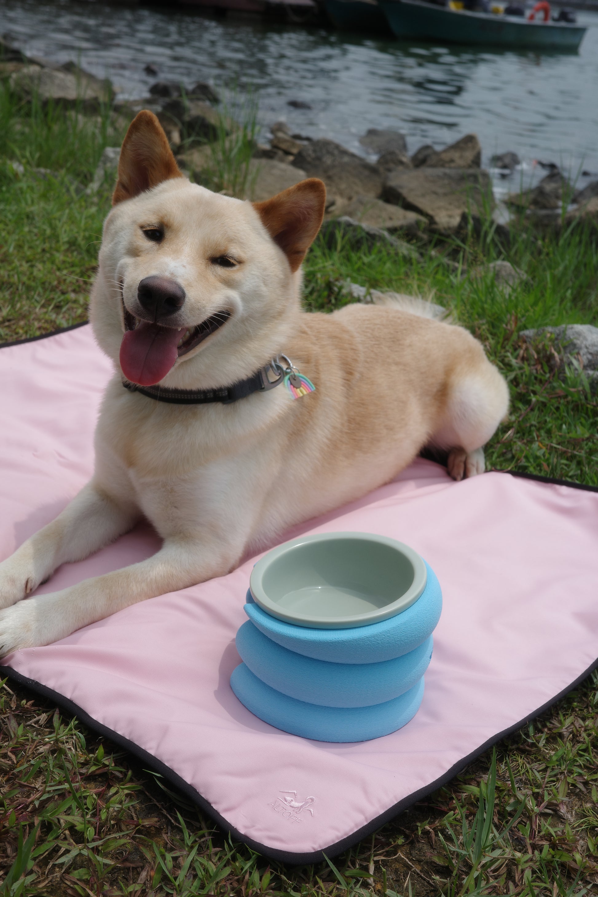 Inu Studios x ALTOFF: Bundle C