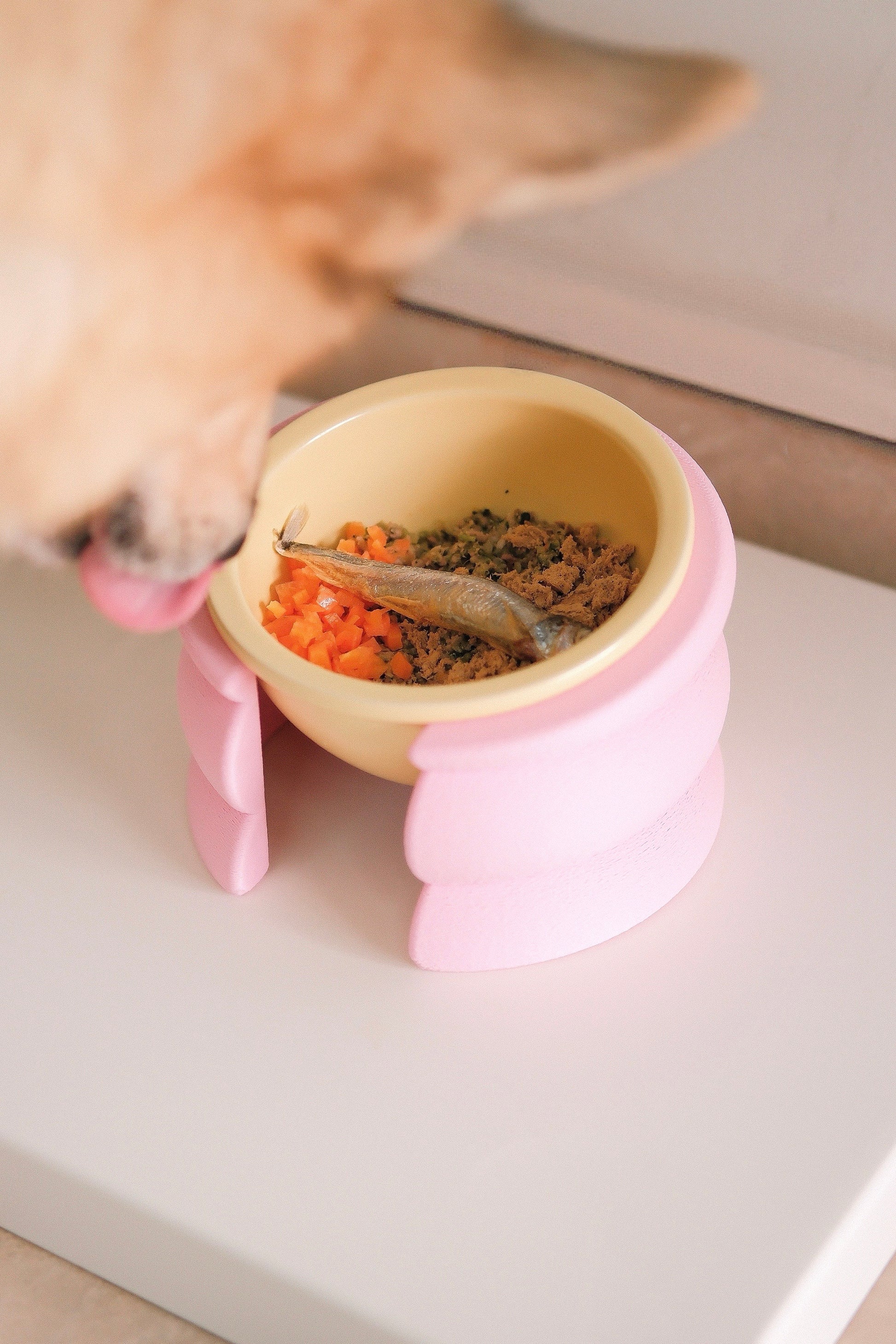 BUBOWL| Elevated & Angled Pet Bowl