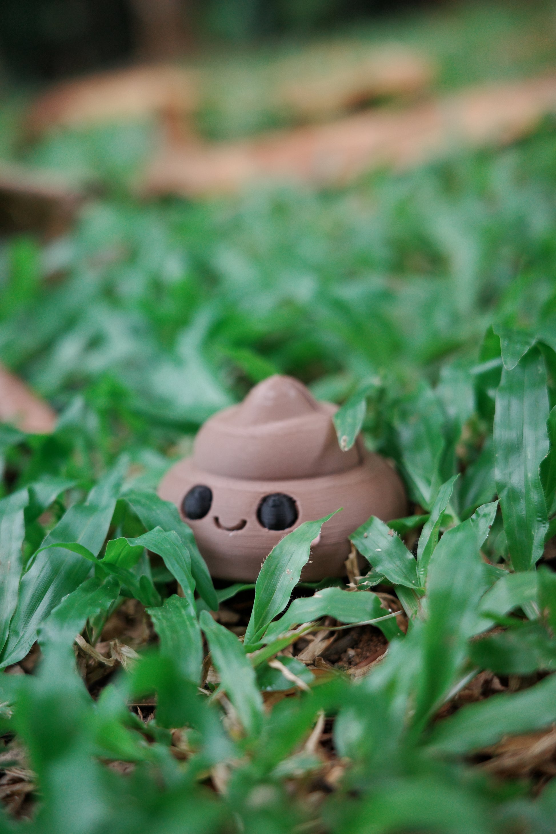 Polaroid Holder (Poop)