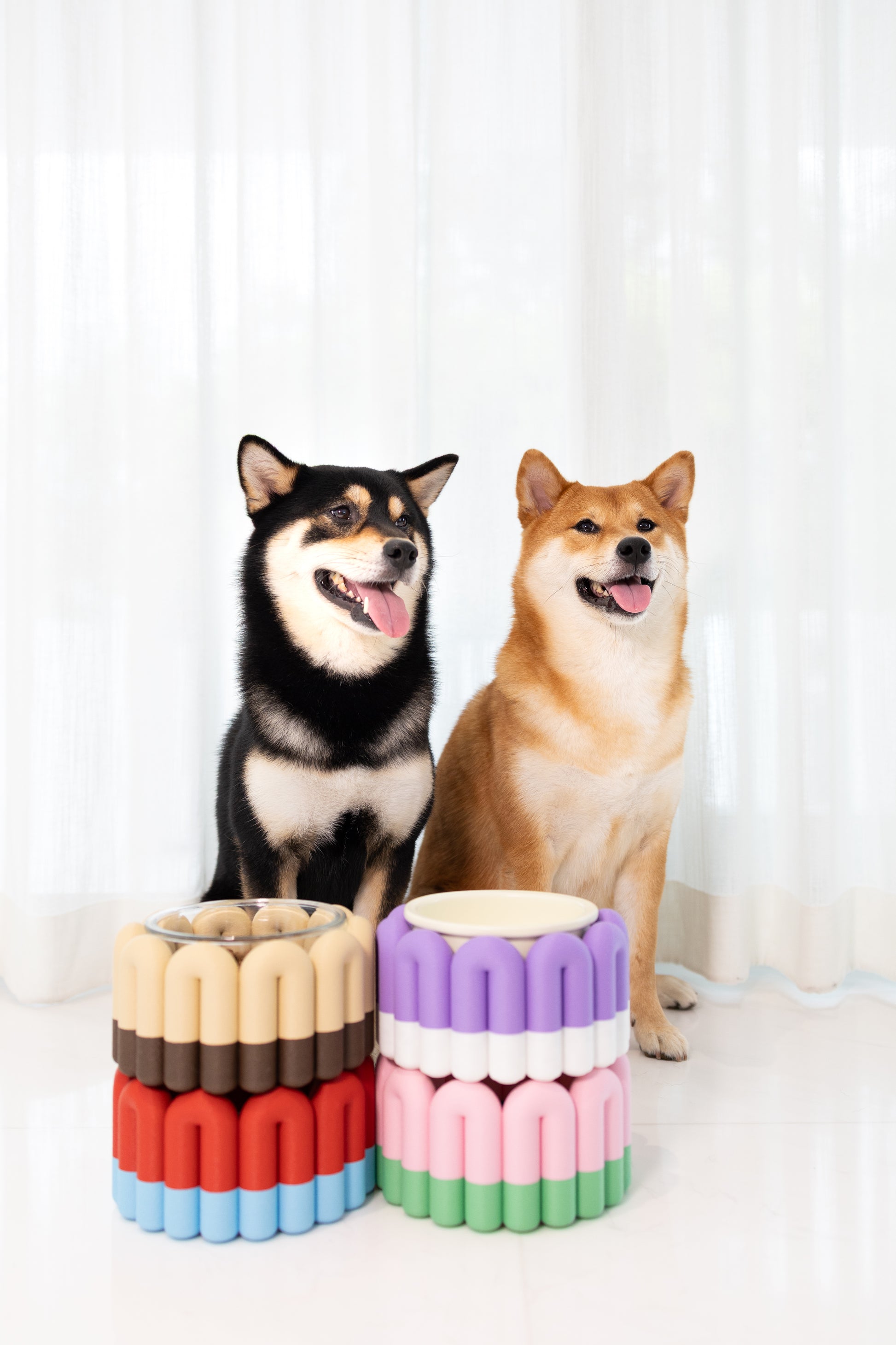 Canebowlé: Elevated Dog Bowl Stand