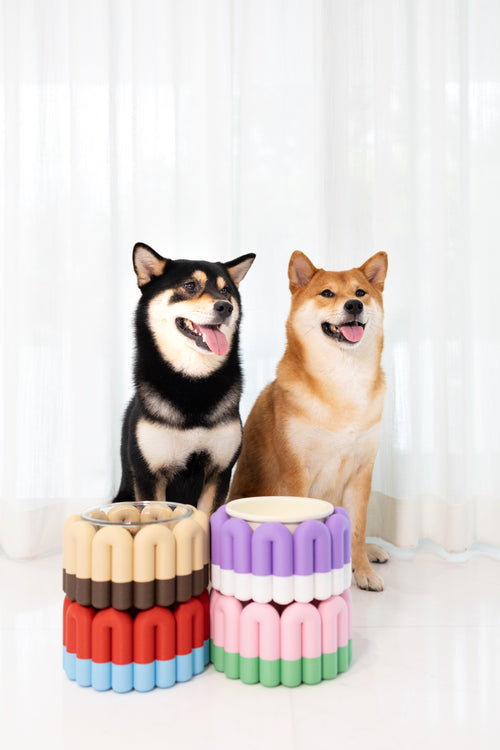 Canebowlé: Elevated Dog Bowl Stand