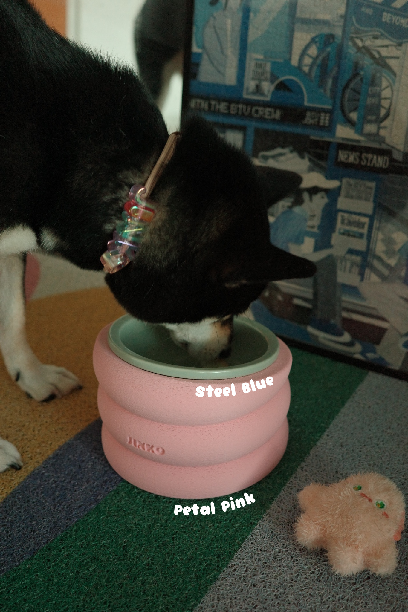 BUBOWL| Elevated & Angled Pet Bowl