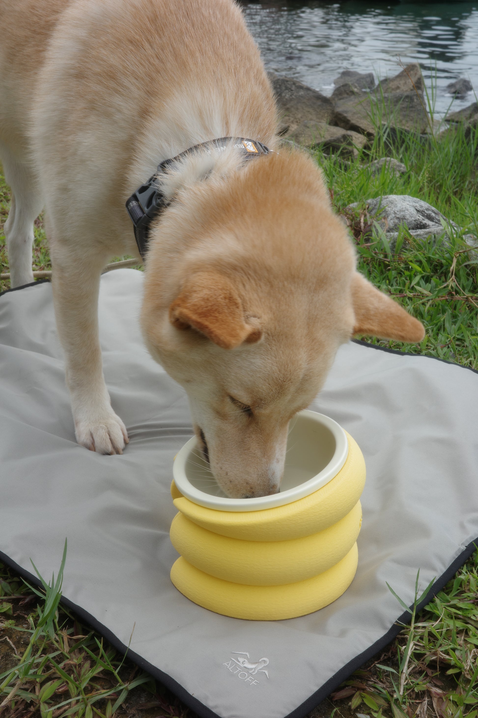 Inu Studios x ALTOFF: Bundle C