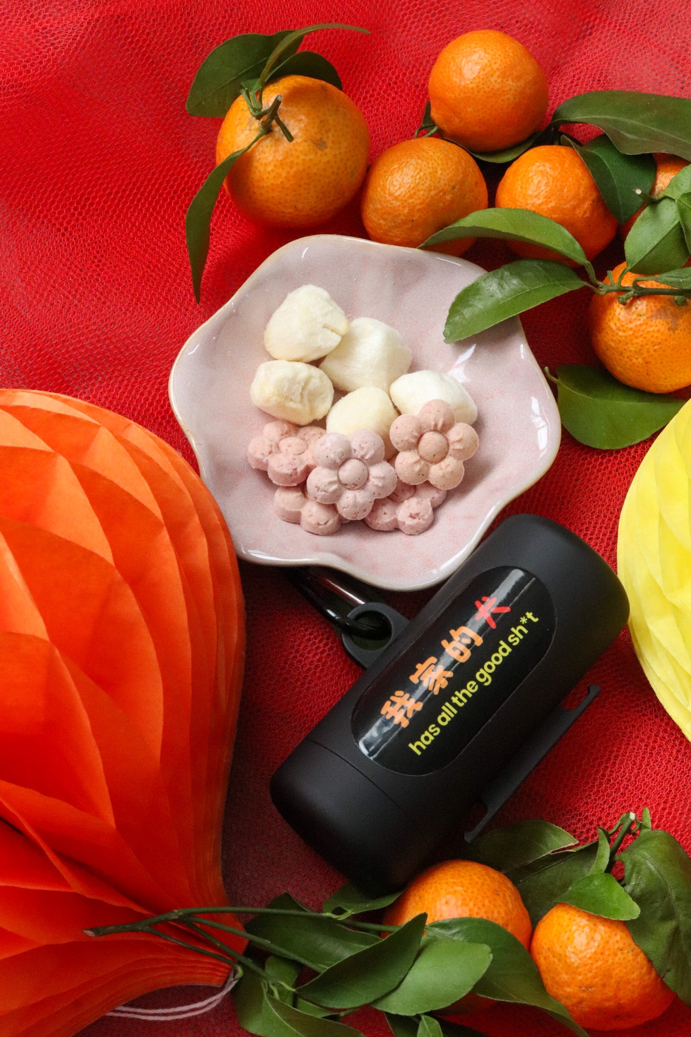 Quǎn Dog Treats × Inu Studios Horse-picious Hamper 2026 with Dog Ma Cai Lucky Draw